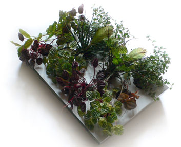 Un cuadro hecho con plantas